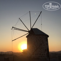 фото из отзыва ID 2038314