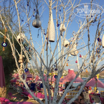 фото из отзыва ID 2038314