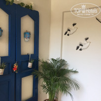 фото из отзыва ID 2038314