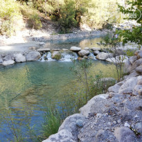 фото из отзыва ID 2038616