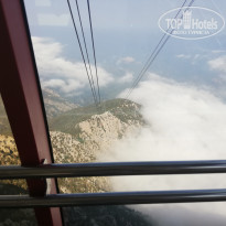 фото из отзыва ID 2038616