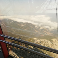 фото из отзыва ID 2038616