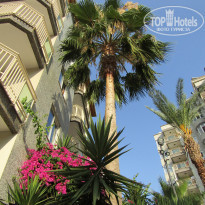 фото из отзыва ID 2038625