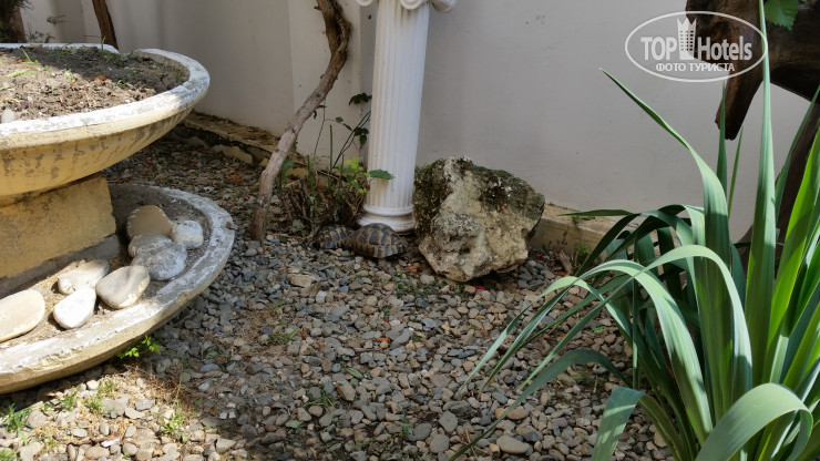 Гостевой дом №73