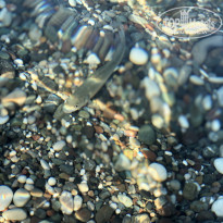 фото из отзыва ID 2038641