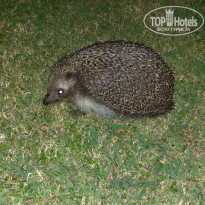 фото из отзыва ID 2038641