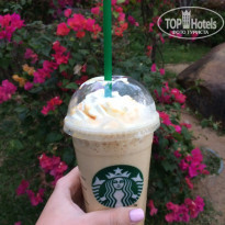 фото из отзыва ID 2037437