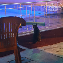 фото из отзыва ID 2038799