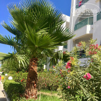 фото из отзыва ID 2038838