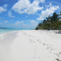 фото из отзыва ID 2038880