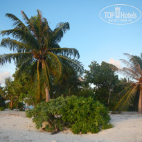 фото из отзыва ID 2038880