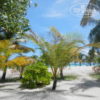 фото из отзыва ID 2038880