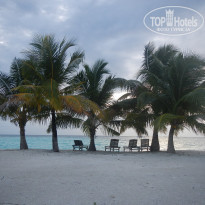 фото из отзыва ID 2038880