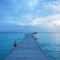 фото из отзыва ID 2038880