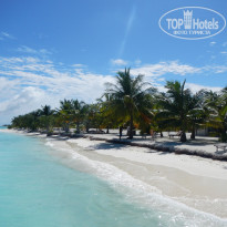 фото из отзыва ID 2038880