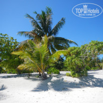 фото из отзыва ID 2038880