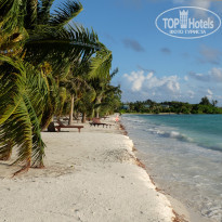 фото из отзыва ID 2038880