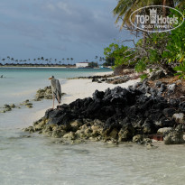 фото из отзыва ID 2038880