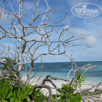 фото из отзыва ID 2038880