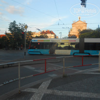 фото из отзыва ID 2038879