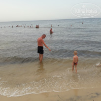 фото из отзыва ID 2038932