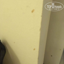 фото из отзыва ID 2038960