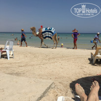 фото из отзыва ID 2039004