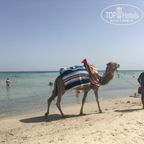 фото из отзыва ID 2039004