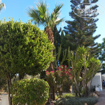 фото из отзыва ID 2039057