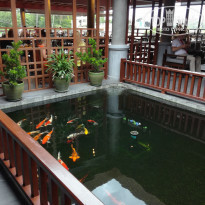 фото из отзыва ID 2033358