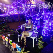 фото из отзыва ID 2039117