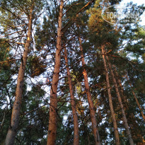 фото из отзыва ID 2039160