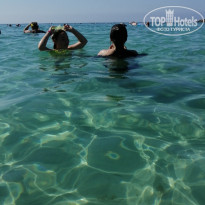 фото из отзыва ID 2039210