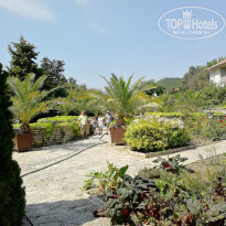 фото из отзыва ID 2039248