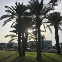 фото из отзыва ID 2039302