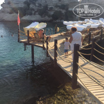 фото из отзыва ID 2039318