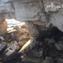 фото из отзыва ID 2039318