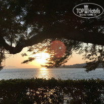 фото из отзыва ID 2039318