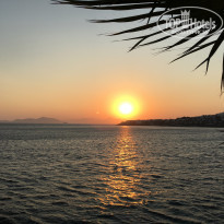 фото из отзыва ID 2039318