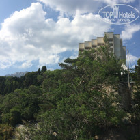 фото из отзыва ID 2039440