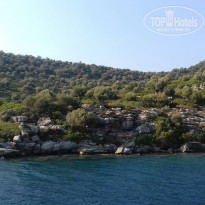 фото из отзыва ID 2039463