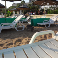 фото из отзыва ID 2039569