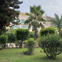 фото из отзыва ID 2039580