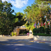 фото из отзыва ID 2039555