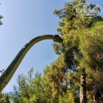 фото из отзыва ID 2039555