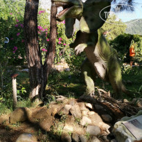 фото из отзыва ID 2039555