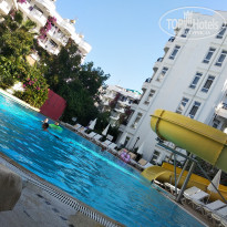 фото из отзыва ID 2039632