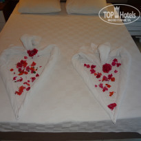 фото из отзыва ID 2039695