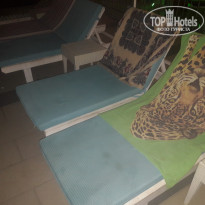 фото из отзыва ID 2039695