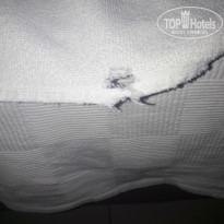 фото из отзыва ID 2039695